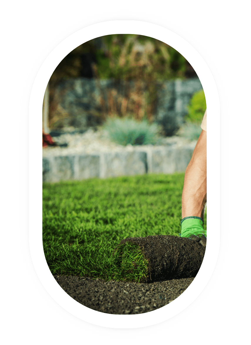 Expert landscaping installation by Titan Lawn and Landscape crew